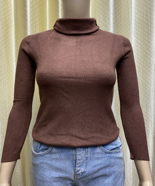 Brown High Neck  Pre Winter Top