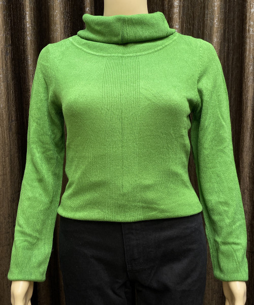 Green High  Neck Pre Winter  Knitted Top