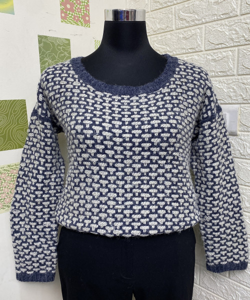 Blue  With  White  Round Neck Knitted Pullover