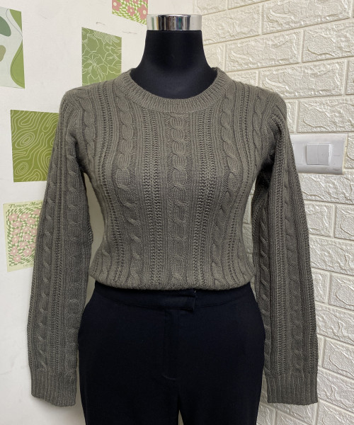 Brown  Round Neck Knit Pullover