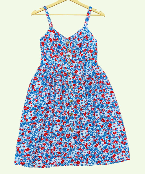 White  With Blue Printed Dress