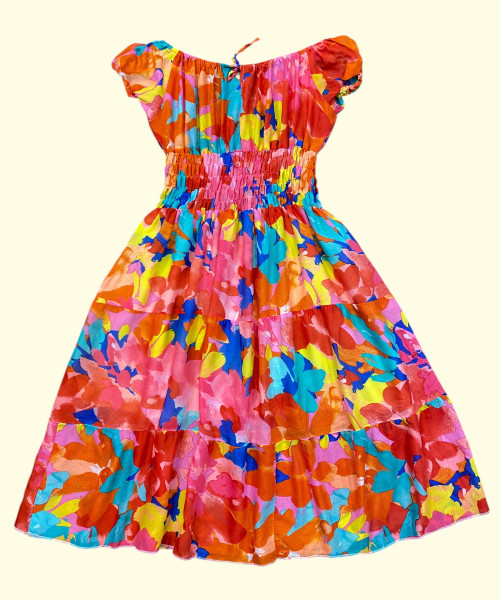 Multi Colour Dress
