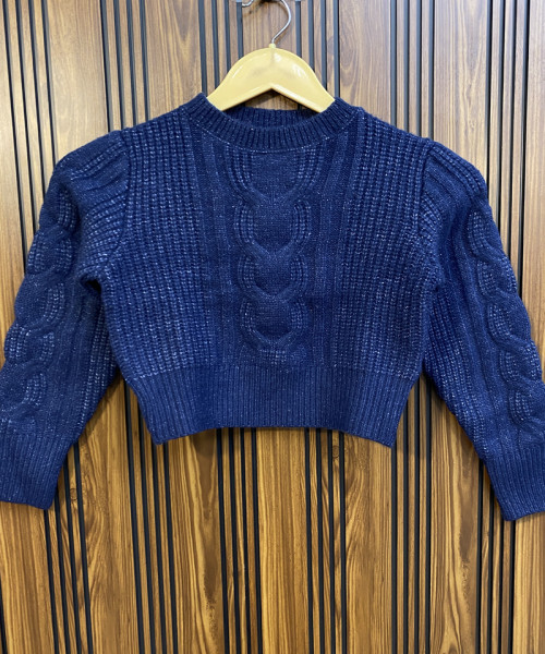 Navy  Blue Round  Neck knitted Pullover
