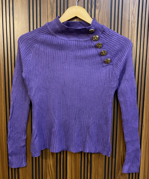 Purple Pre Winter Top